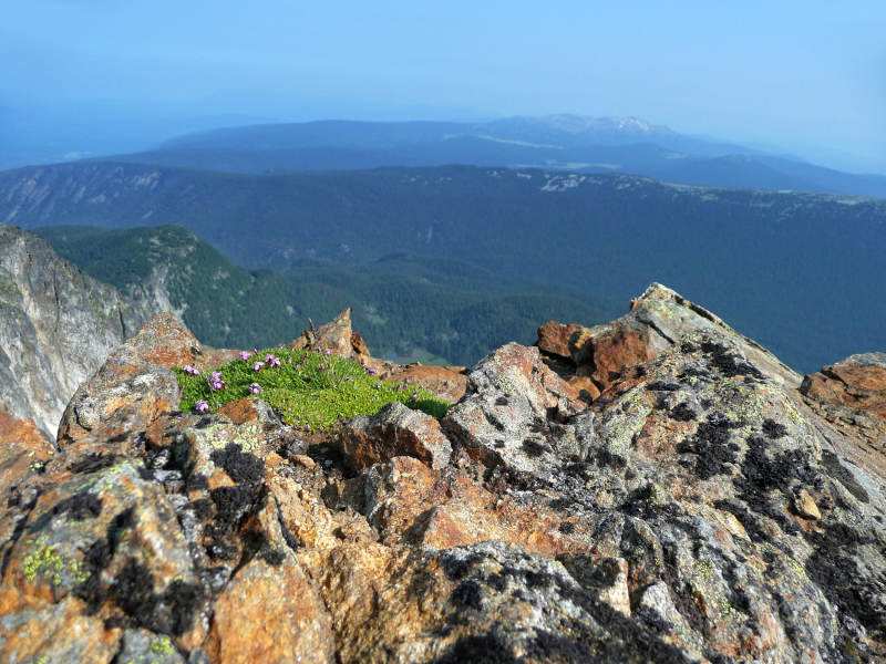 Battle Mountain vom West Summit aus gesehen